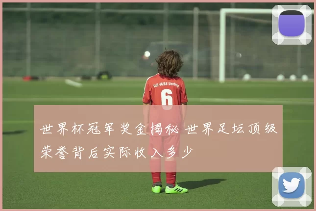 世界杯冠军奖金揭秘 世界足坛顶级荣誉背后实际收入多少