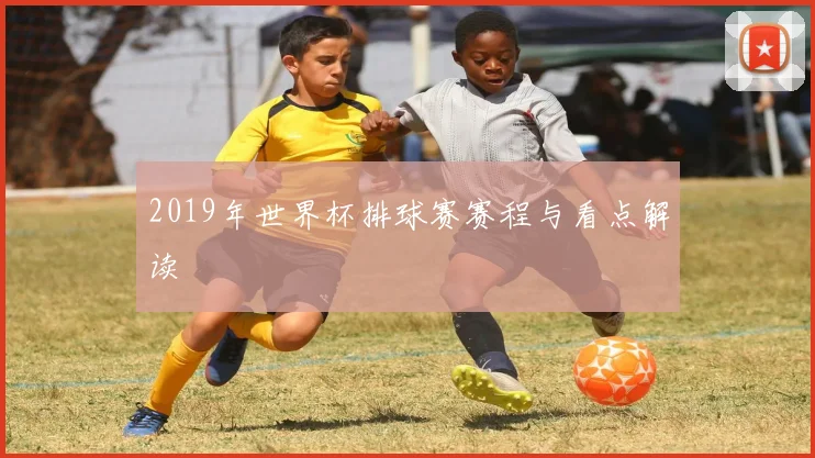 2019年世界杯排球赛赛程与看点解读